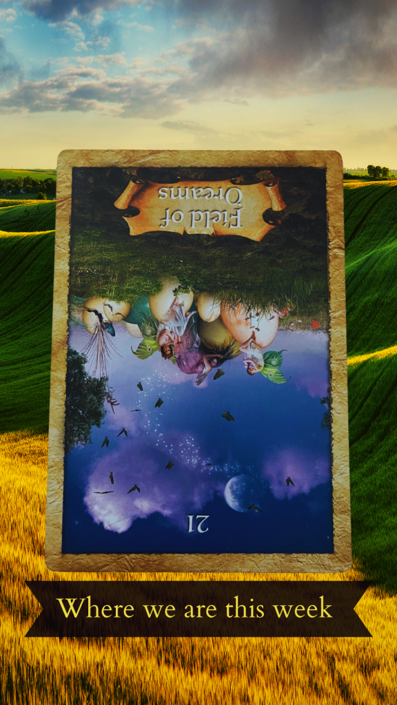 Ace of Wands tarot card reversed, depicting a red skull with red leaves growing out of it against a jungle background. All set against a background of blue, flowing water.