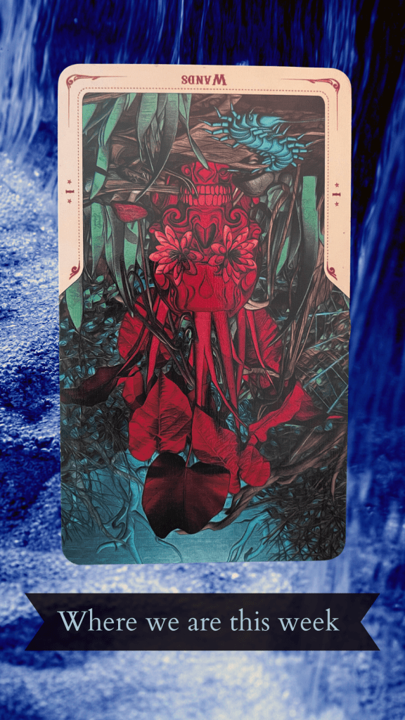 Ace of Wands tarot card reversed, depicting a red skull with red leaves growing out of it against a jungle background. All set against a background of blue, flowing water.
