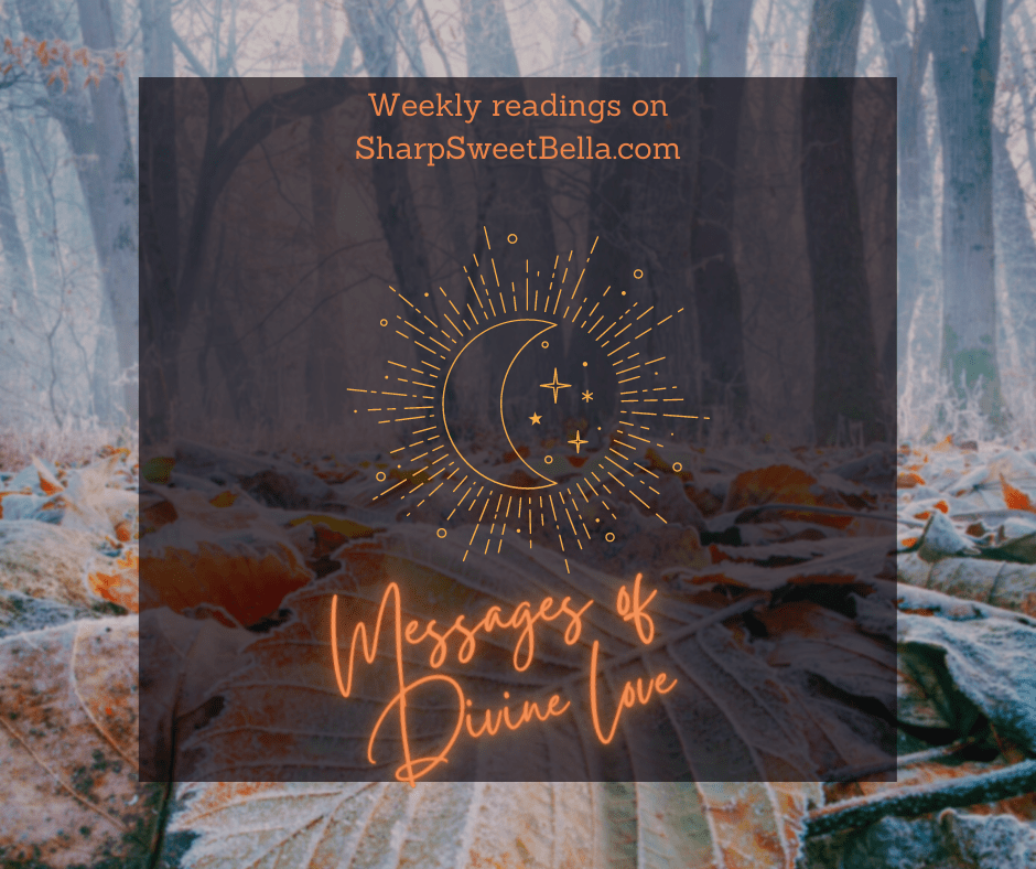 Background of frosty forest floor with a black box over it that says "Weekly readings on SharpSweetBella.com" on top with a graphic of a sun and moon with "Messages of Divine Love" in neon script below. All words are written in orange. 