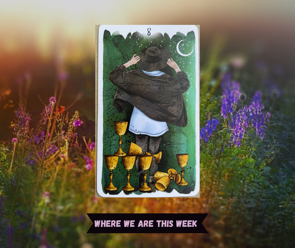 Background of sunlit flowers with Eight of Cups tarot card in front of it. Card with green background shows a figure with a hat walking away from eight tumbling cups into the night. Words "Where are are this week" in pink over a black ribbon. 