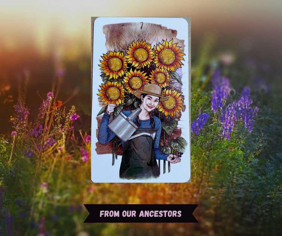 Background of sunlit flowers with Seven of Pentacles tarot card in front of it. Card with seven large sunflowers behind a smiling white woman with a blue shirt, brown apron and metal watering can.  Words "From Our Ancestors" in pink over a black ribbon. 